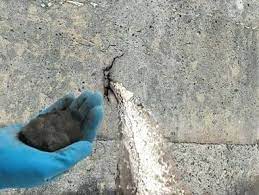 آنی گیر بتن و سیمان